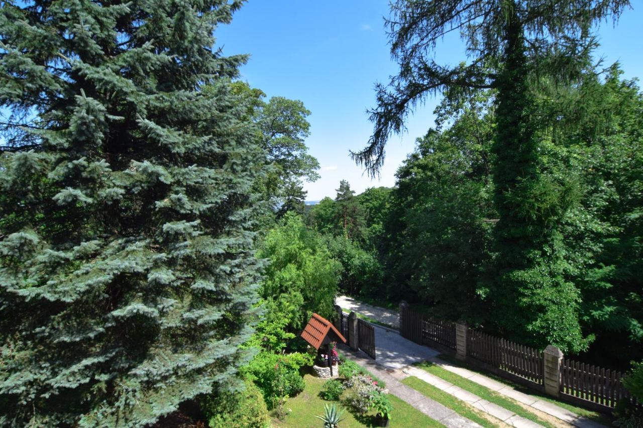 Staszica16 Apartment Zloty Stok Bagian luar foto